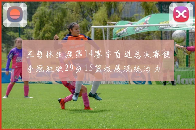 王哲林生涯第14赛季首进总决赛便夺冠狂砍29分15篮板展现统治力