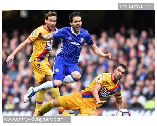 谷口彰悟期待铃木彩艳加盟米兰将推动日本足球整体发展