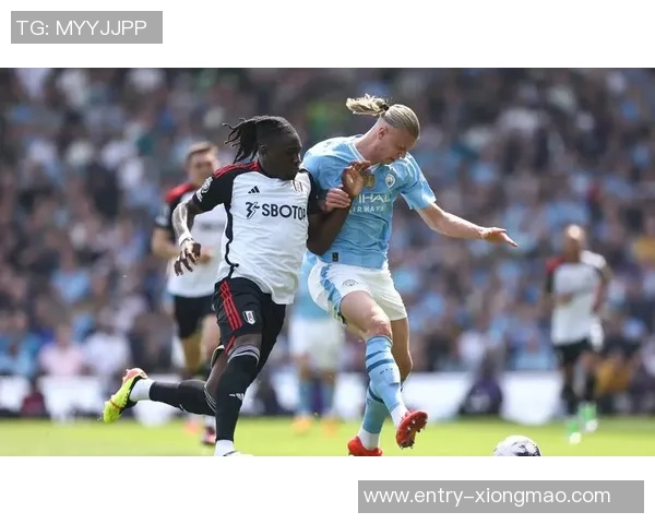 伯恩茅斯寻求塞梅尼奥替代者莱斯特城边锋伊萨哈库成新目标